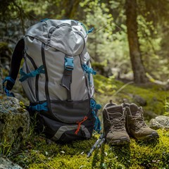 240 f 210606543 xx5mkv8rzuzumv7ovsvrwbnr9limdum0